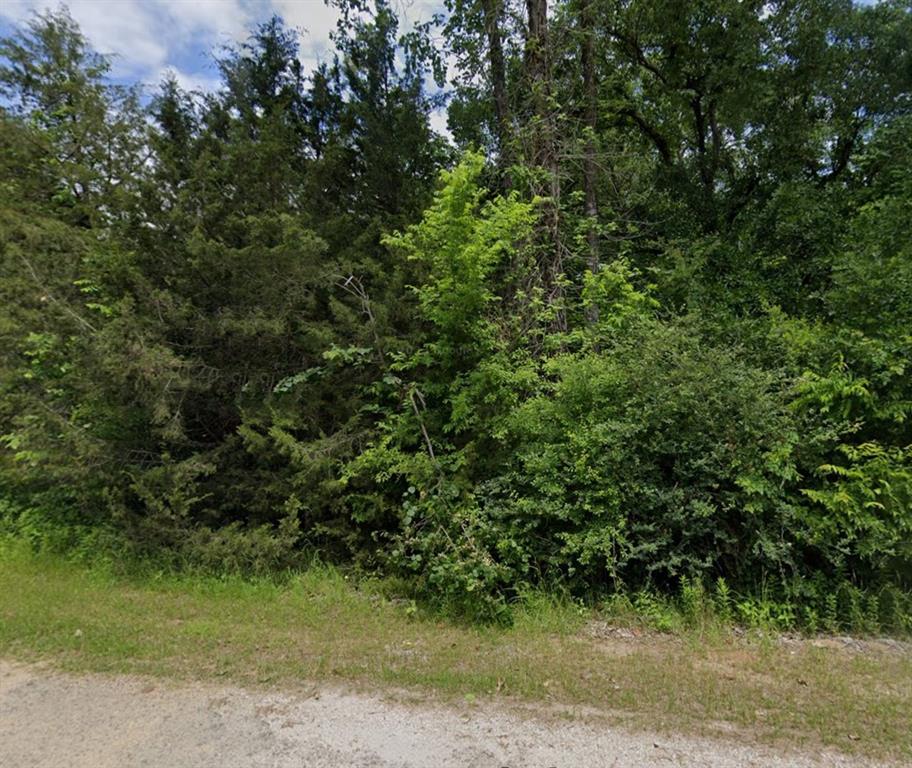 Lot 73A Cedar Valley Drive, Coldspring, Texas image 2