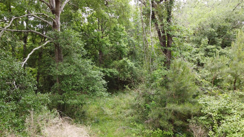 17618 Lot 52 Winding Creek Lane, Magnolia, Texas image 7
