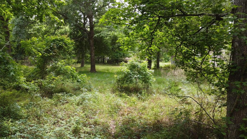 17618 Lot 52 Winding Creek Lane, Magnolia, Texas image 6
