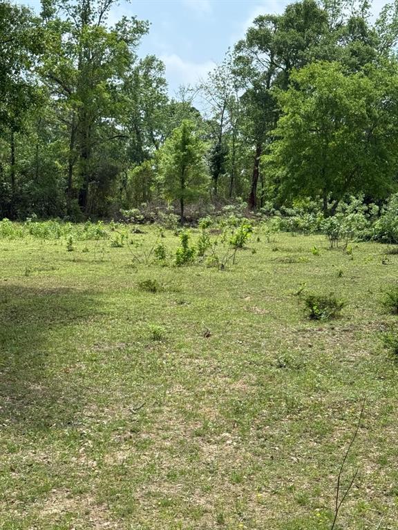 0000 Denson Reed Road, Cleveland, Texas image 8
