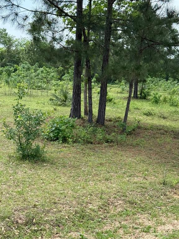 0000 Denson Reed Road, Cleveland, Texas image 7
