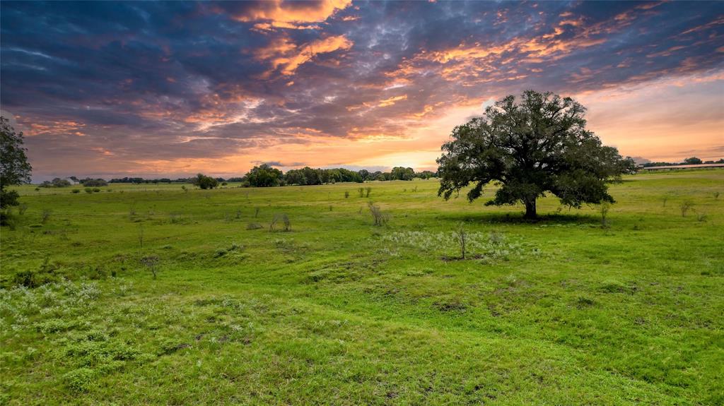 403 Hickey Road, Yoakum, Texas image 4