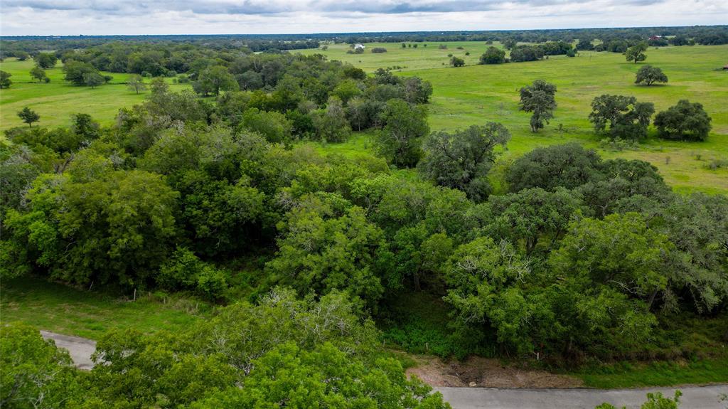 403 Hickey Road, Yoakum, Texas image 46