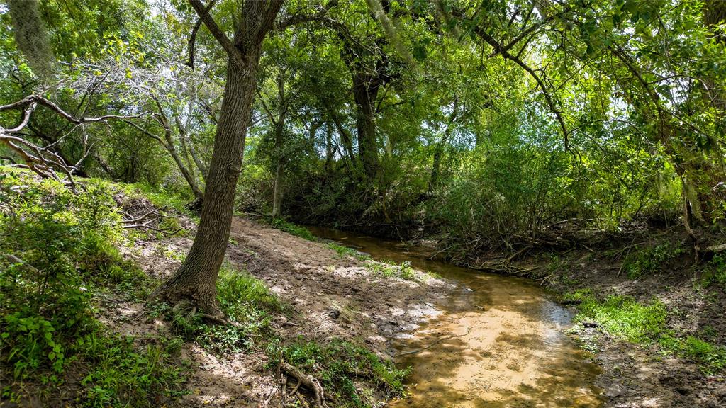 403 Hickey Road, Yoakum, Texas image 44