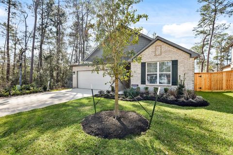 A home in Conroe