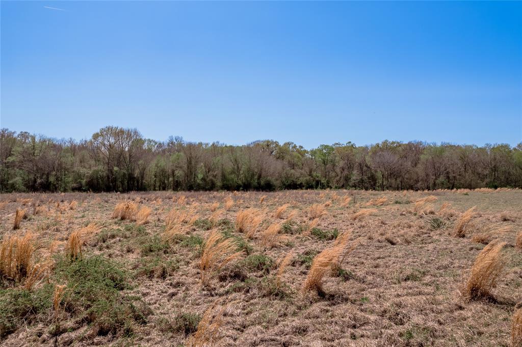 Tract 32 Buckhorn Creek Drive, Crockett, Texas image 18