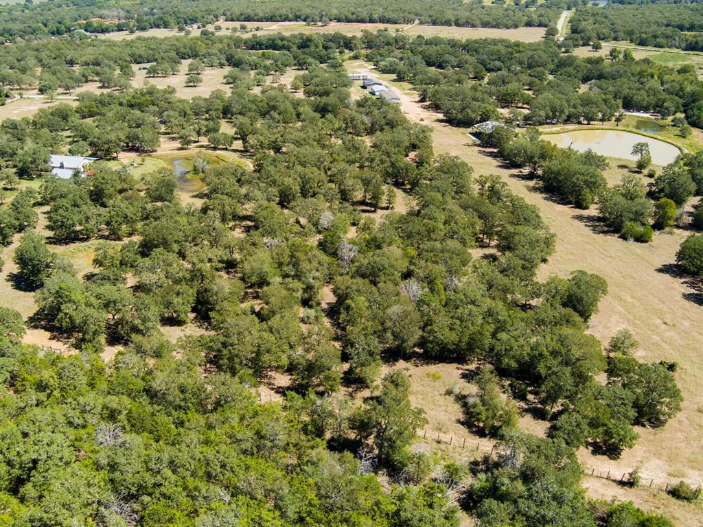 294 Lois Lane Ln, Paige, Texas image 46