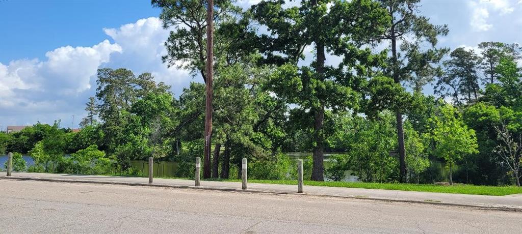 9227 Lake Park Drive, Houston, Texas image 4