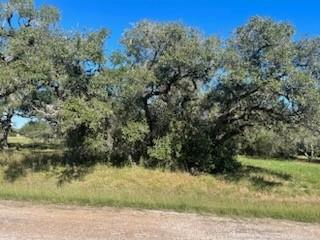 81 Center Tree Drive, Blessing, Texas image 4