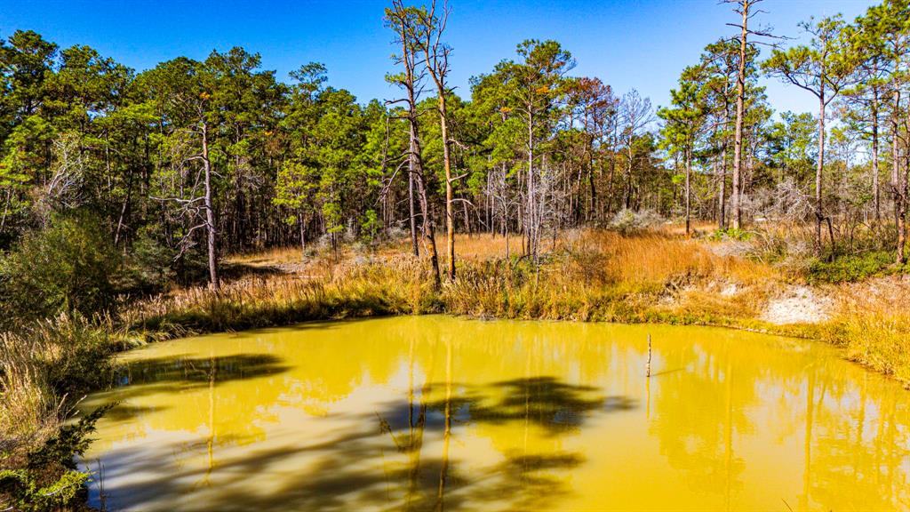 018 Magnolia Ranch Road, Onalaska, Texas image 9