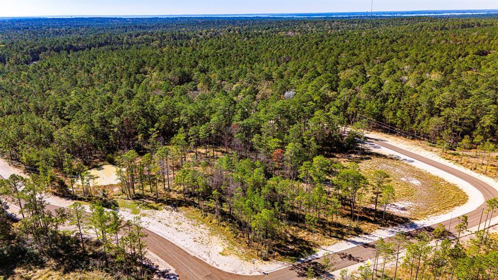 018 Magnolia Ranch Road, Onalaska, Texas image 3