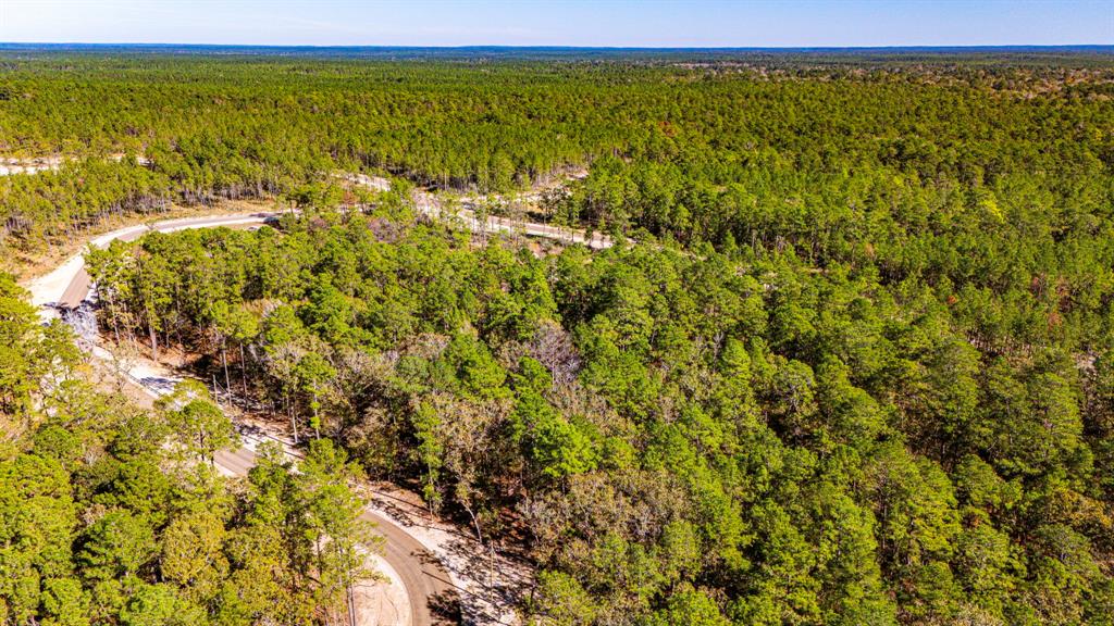 018 Magnolia Ranch Road, Onalaska, Texas image 5