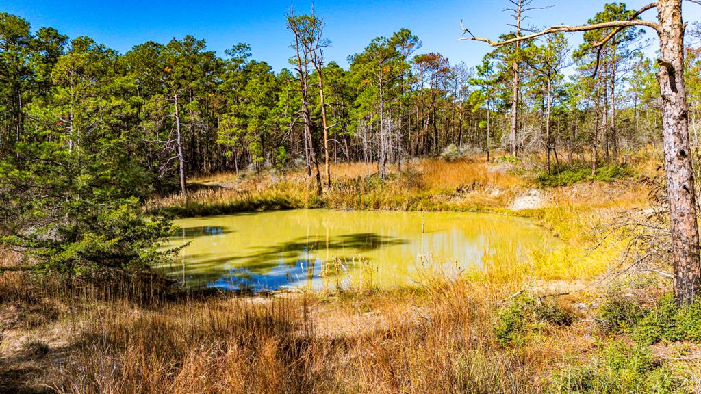 018 Magnolia Ranch Road, Onalaska, Texas image 10