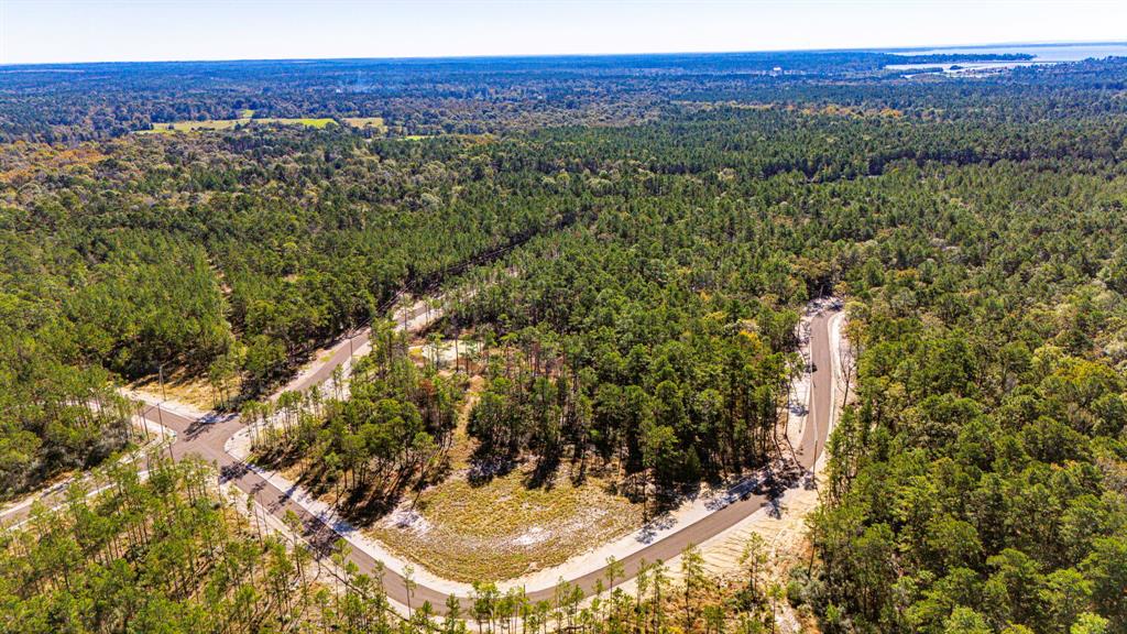 018 Magnolia Ranch Road, Onalaska, Texas image 4