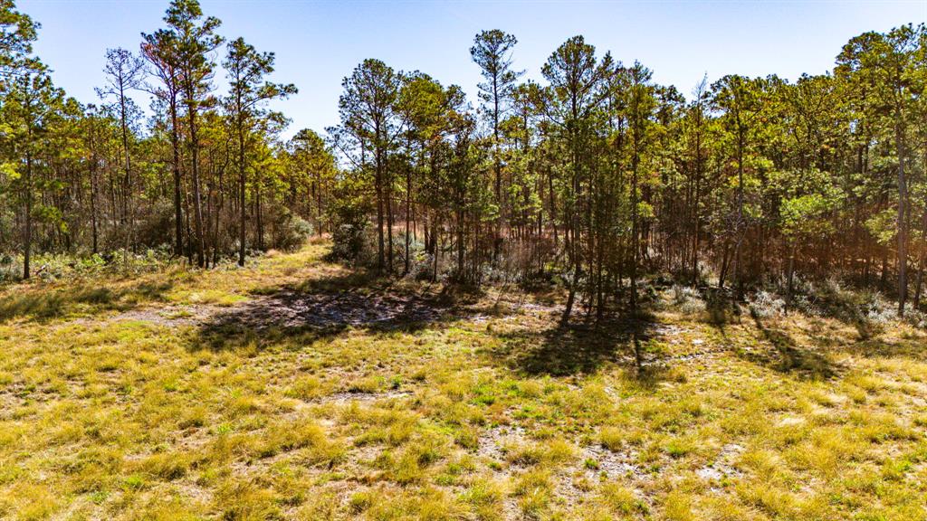 018 Magnolia Ranch Road, Onalaska, Texas image 11