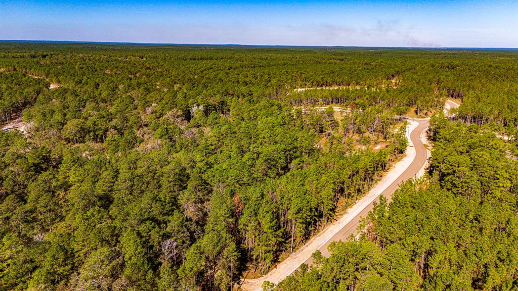 018 Magnolia Ranch Road, Onalaska, Texas image 7