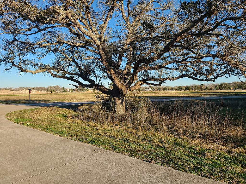 12 Cattle Drive, Bay City, Texas image 8