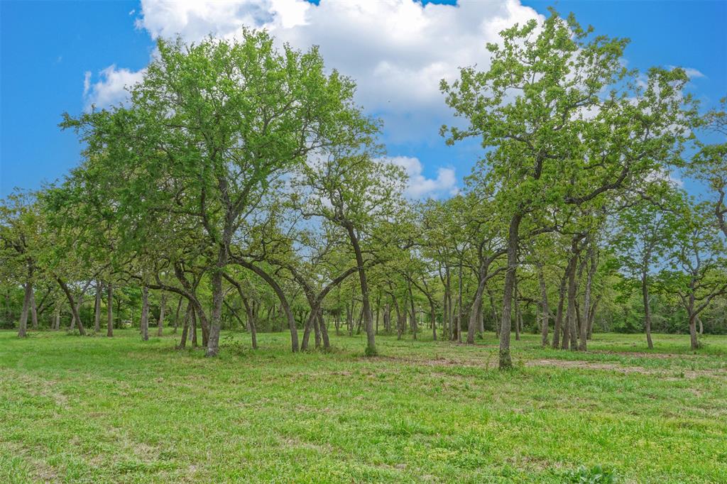 10.778 Acres Fm 3090, Anderson, Texas image 22