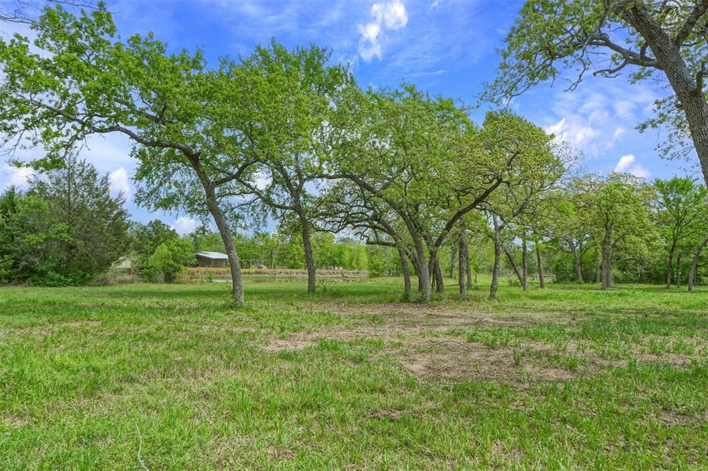 10.778 Acres Fm 3090, Anderson, Texas image 10