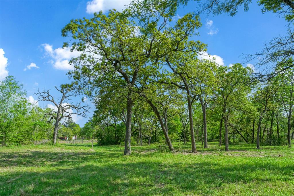 10.778 Acres Fm 3090, Anderson, Texas image 19
