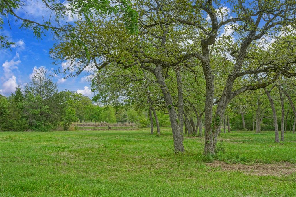 10.778 Acres Fm 3090, Anderson, Texas image 15