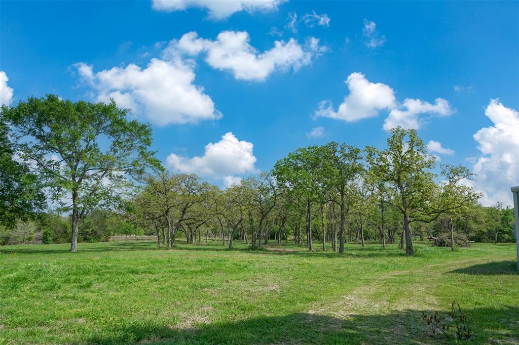10.778 Acres Fm 3090, Anderson, Texas image 17