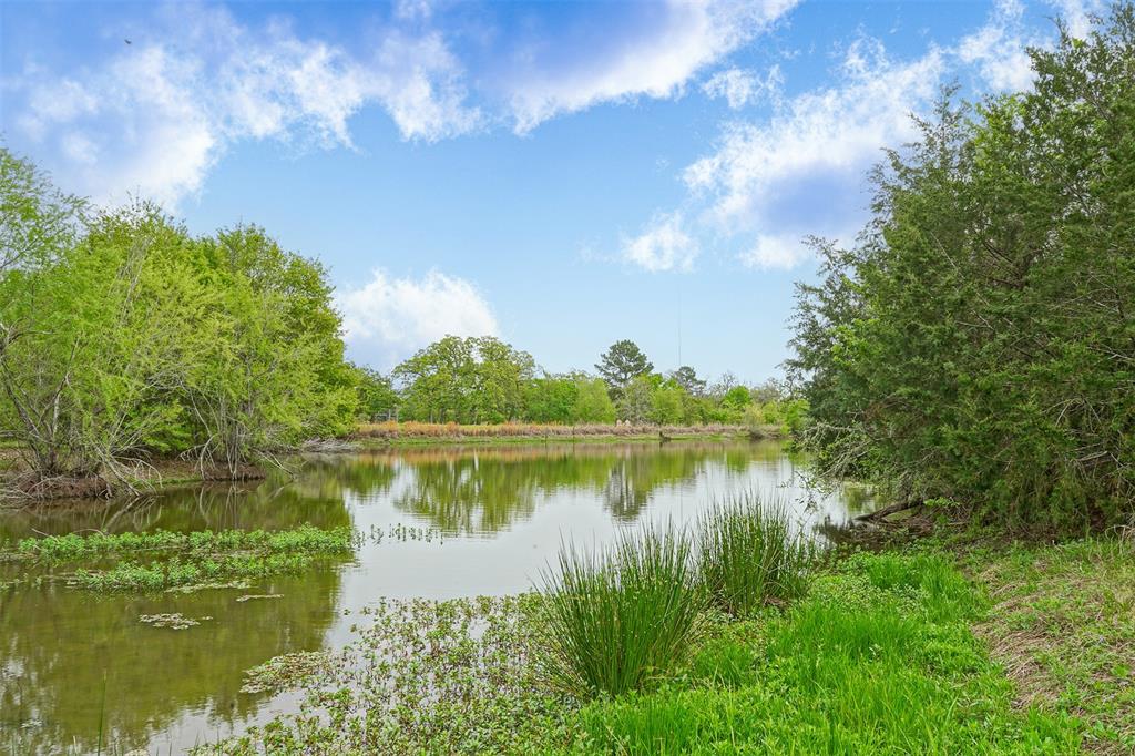 10.778 Acres Fm 3090, Anderson, Texas image 8