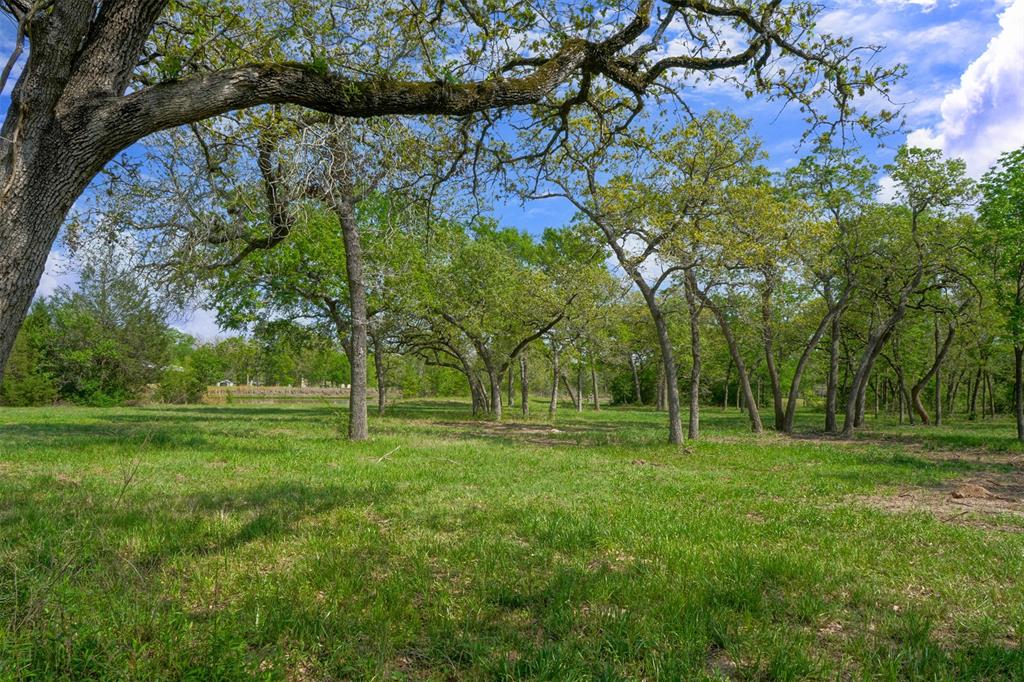 10.778 Acres Fm 3090, Anderson, Texas image 13