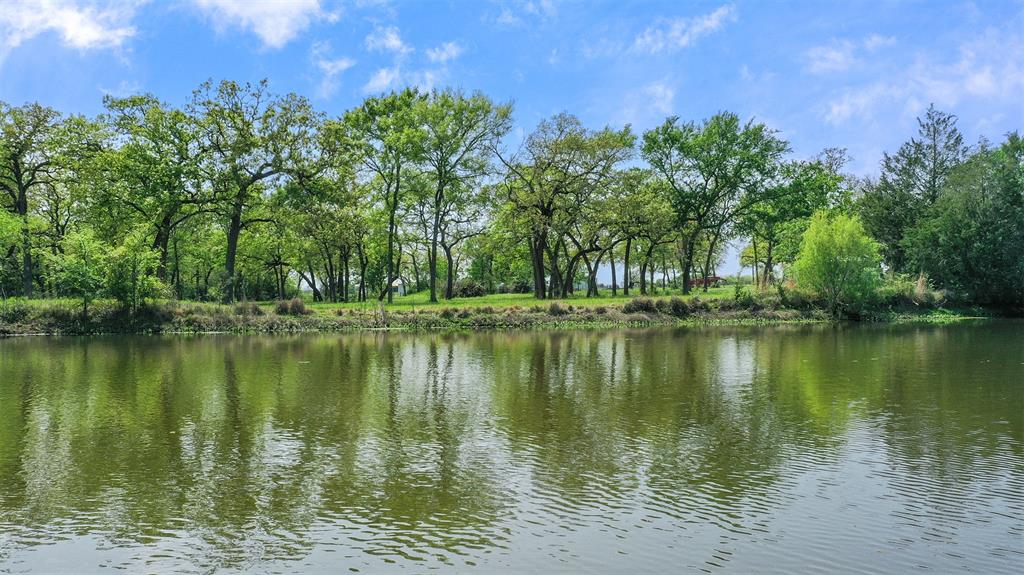 10.778 Acres Fm 3090, Anderson, Texas image 20