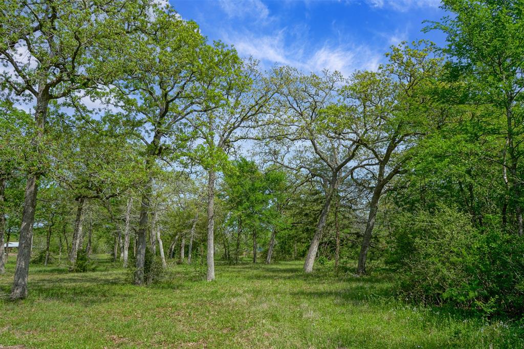 10.778 Acres Fm 3090, Anderson, Texas image 18