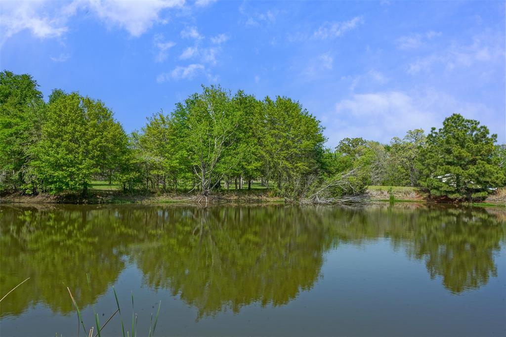 10.778 Acres Fm 3090, Anderson, Texas image 21