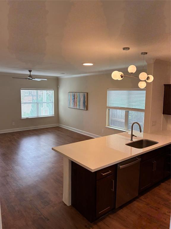 4327 Robertson Street, Houston, Texas image 4