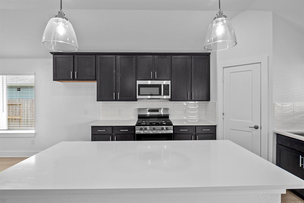 26240 Astral Way, La Marque, Texas image 22