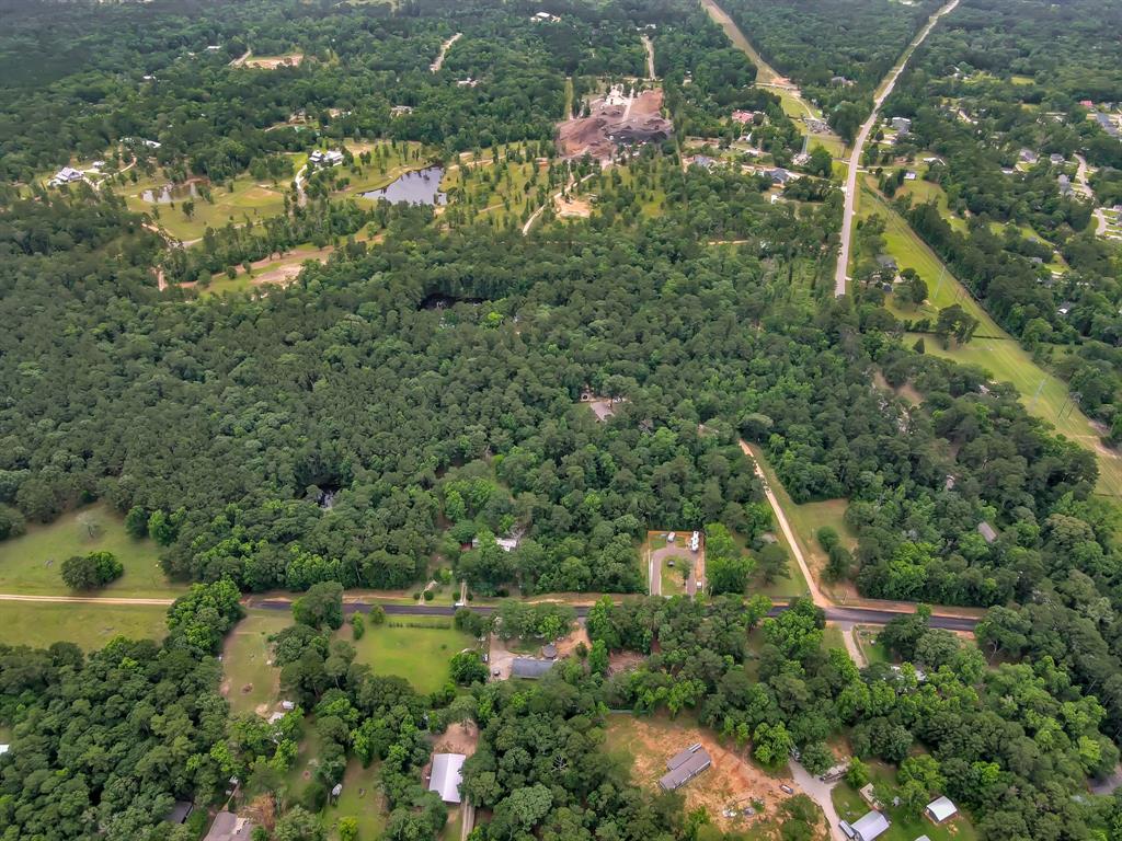 5200 Green Pine Boulevard, Willis, Texas image 22