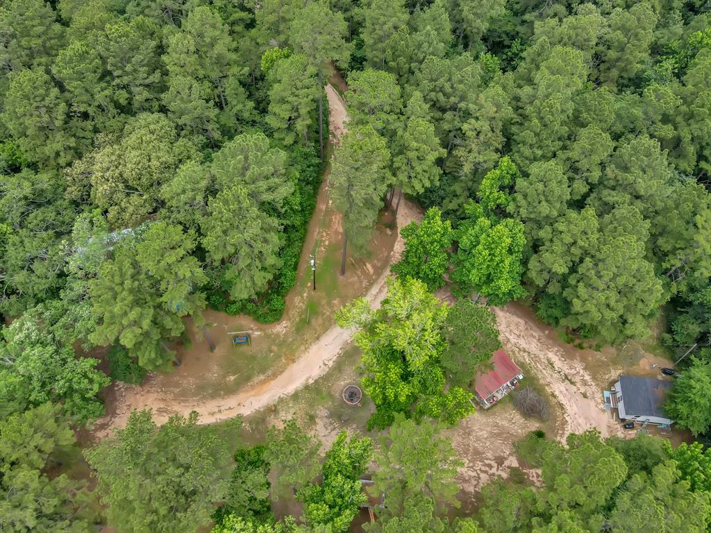 5200 Green Pine Boulevard, Willis, Texas image 14