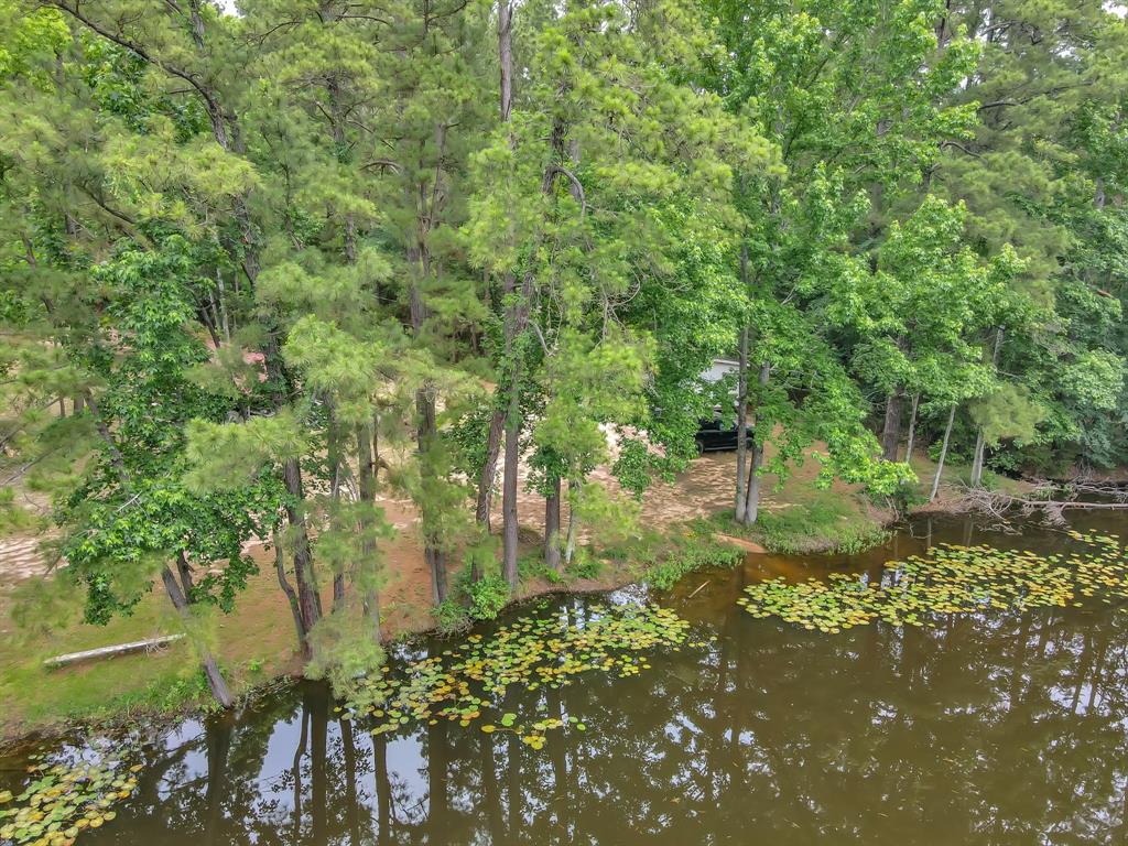 5200 Green Pine Boulevard, Willis, Texas image 17