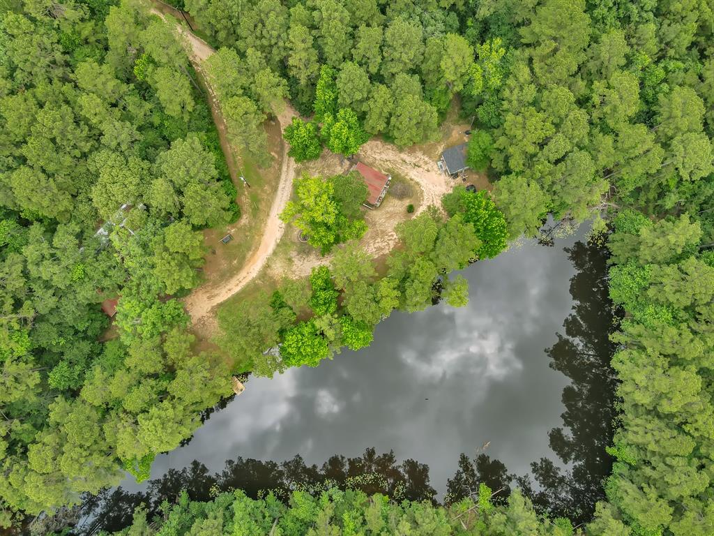 5200 Green Pine Boulevard, Willis, Texas image 18