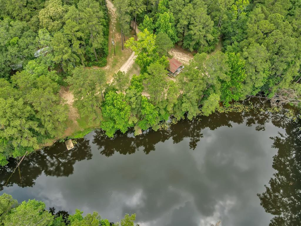 5200 Green Pine Boulevard, Willis, Texas image 15