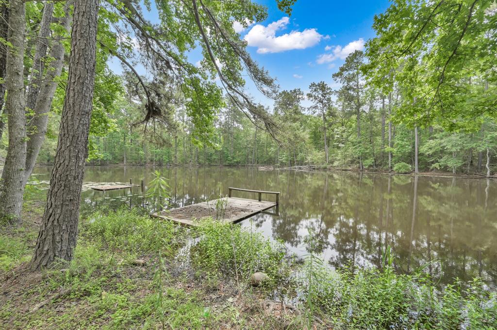 5200 Green Pine Boulevard, Willis, Texas image 7