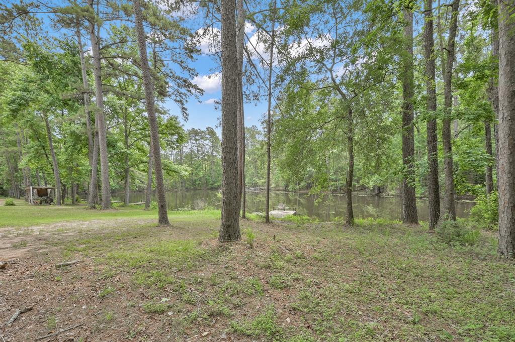 5200 Green Pine Boulevard, Willis, Texas image 10