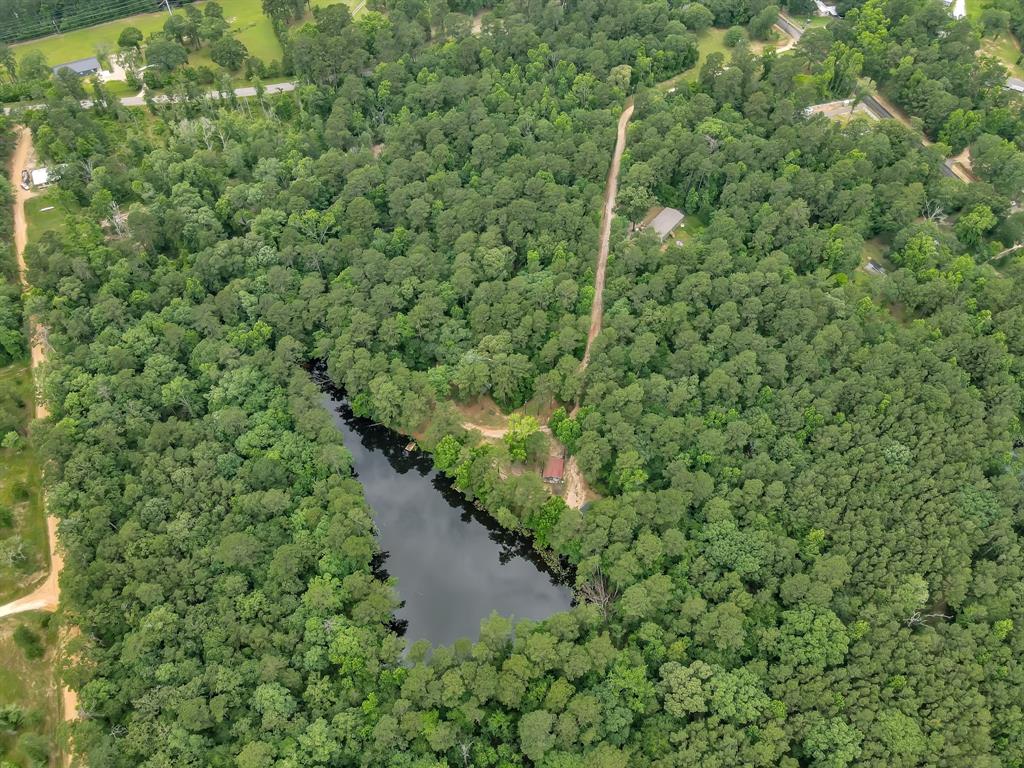 5200 Green Pine Boulevard, Willis, Texas image 19