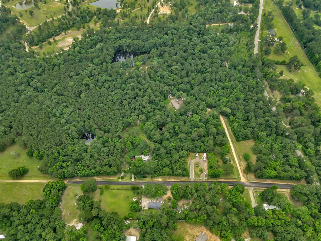 5200 Green Pine Boulevard, Willis, Texas image 21