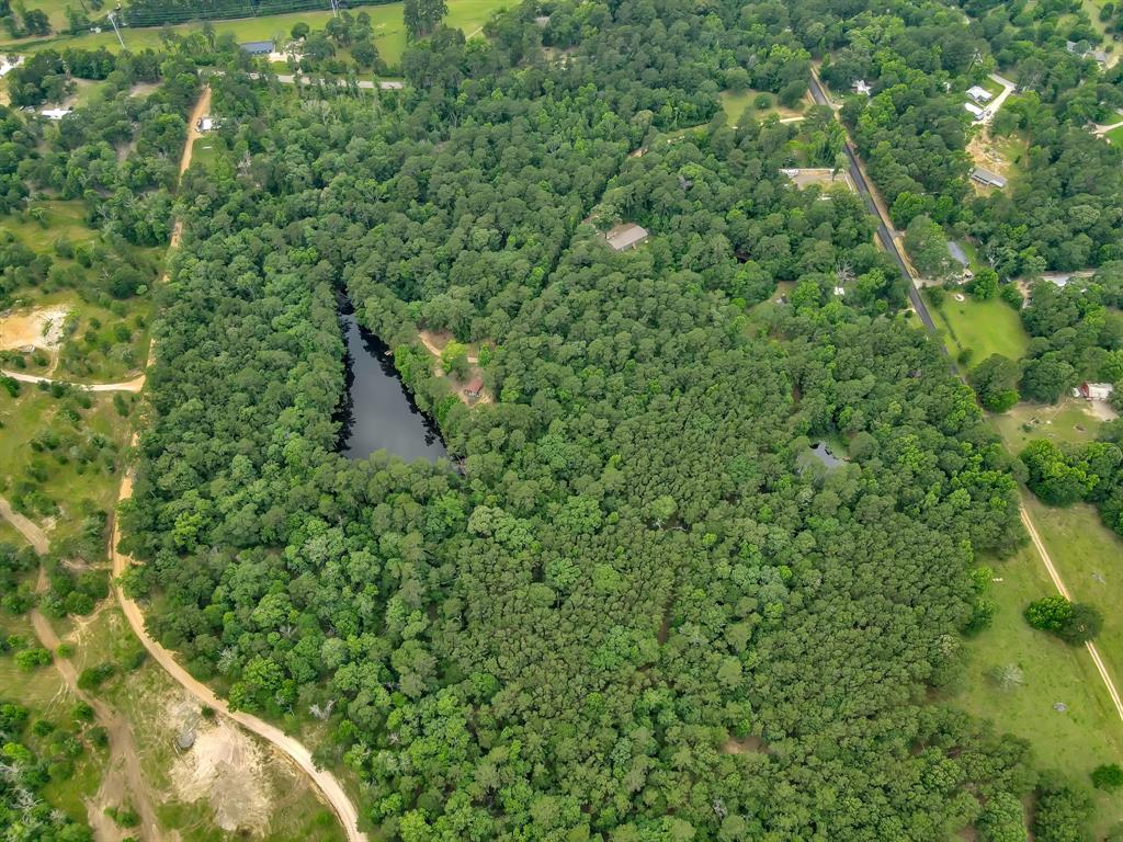 5200 Green Pine Boulevard, Willis, Texas image 20