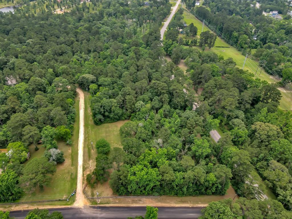 5200 Green Pine Boulevard, Willis, Texas image 23
