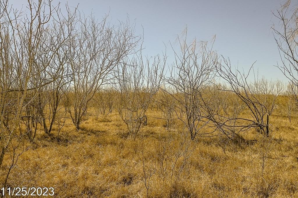 TR 1 000 W Us Hwy 85 Street, Dilley, Texas image 8