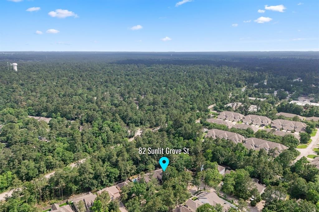 82 Sunlit Grove Street, The Woodlands, Texas image 47