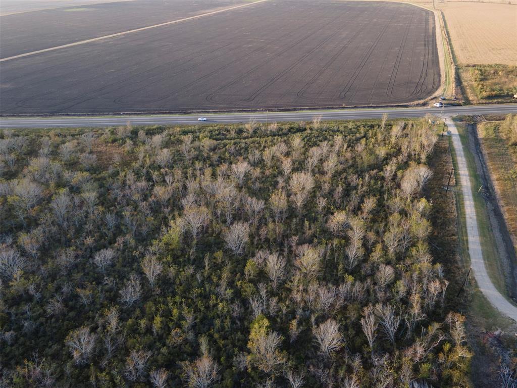 Hwy 35, Liverpool, Texas image 5