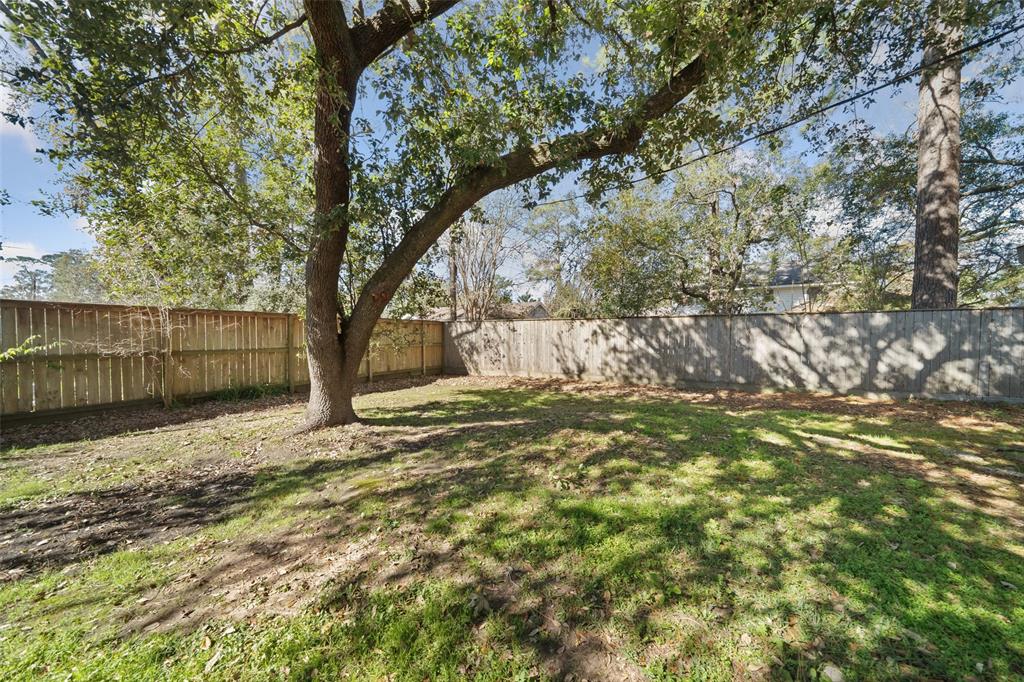 202 Black Forest Drive, Spring, Texas image 29