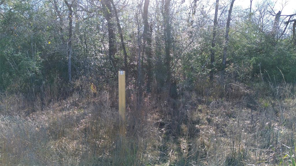 Lot 33 Cr 3675, Marquez, Texas image 4