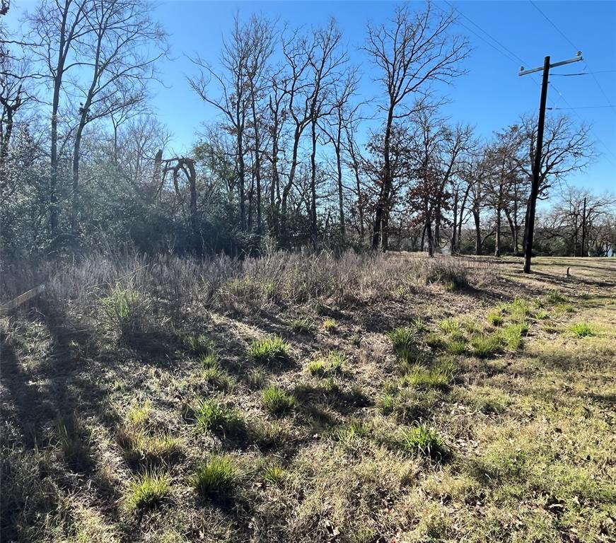 Lot 33 Cr 3675, Marquez, Texas image 6